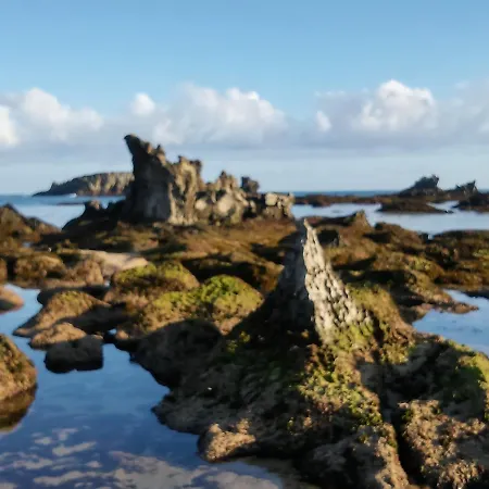 ゲストハウス Playa